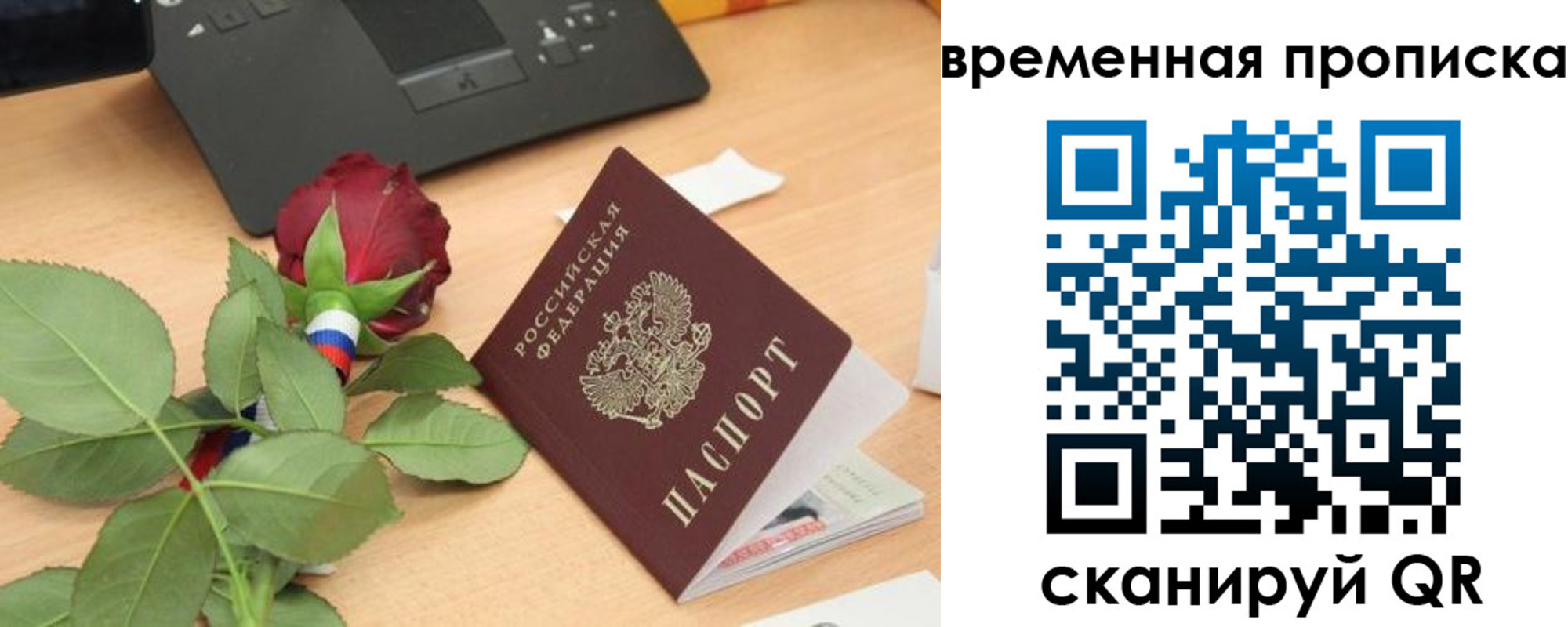 временная регистрация поиск в Тимашёвске